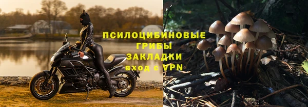 герыч Магас