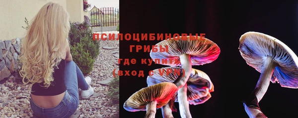 соль ск Медвежьегорск