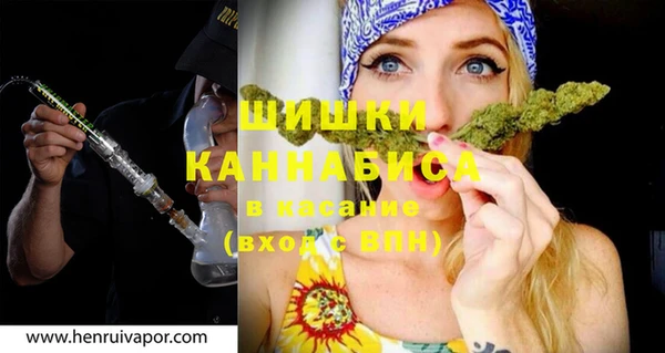 сатива Мегион