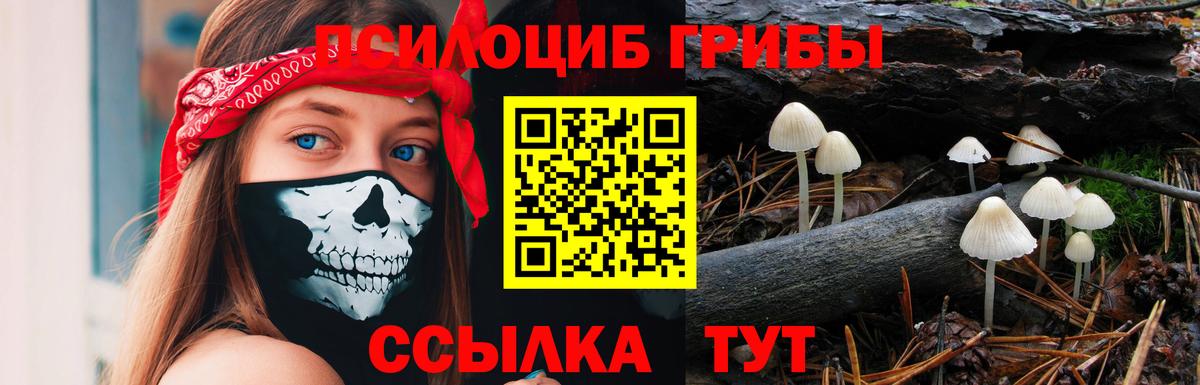 Псилоцибиновые грибы мухоморы  Вологда 