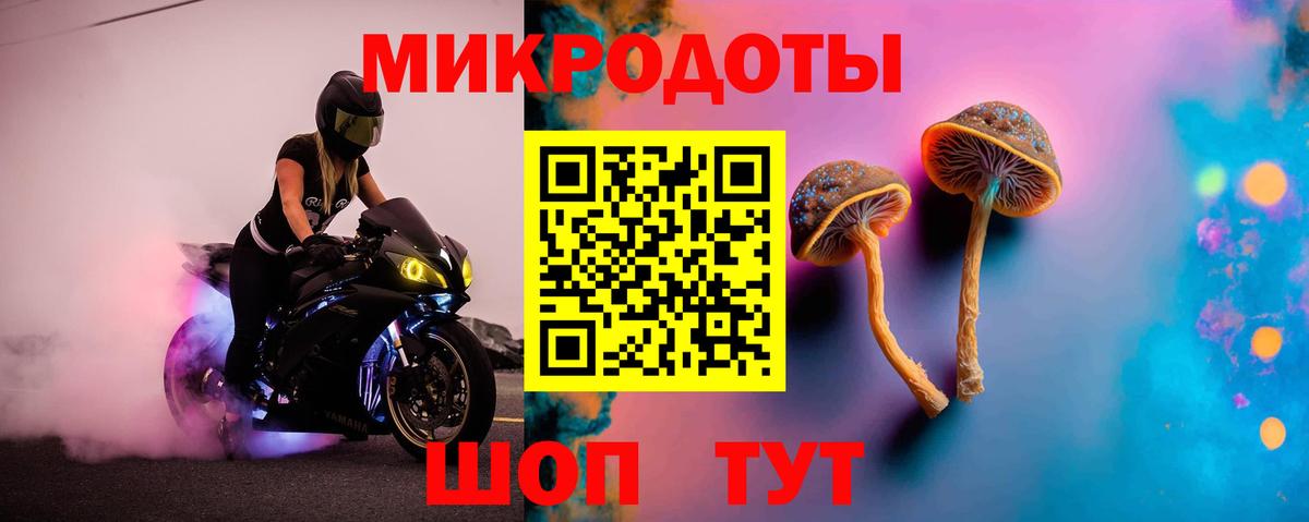 Галлюциногенные грибы Psilocybine cubensis  Псилоцибиновые грибы Cubensis  Вход с VPN  Вологда 